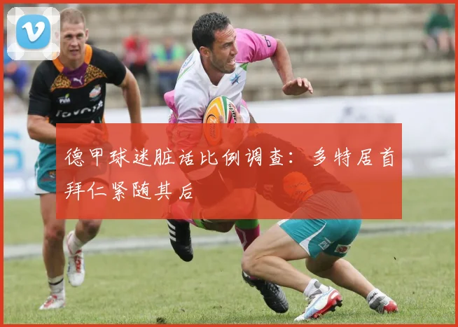 德甲球迷脏话比例调查：多特居首拜仁紧随其后