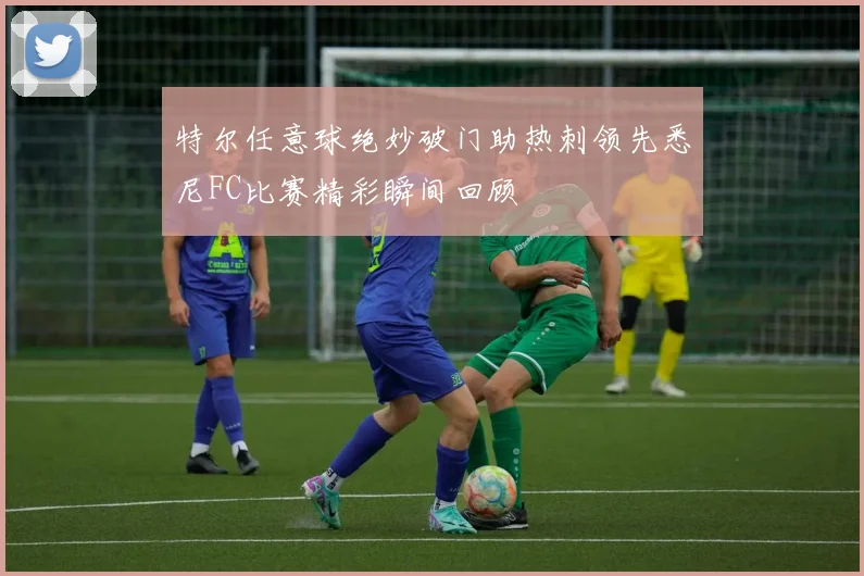 特尔任意球绝妙破门助热刺领先悉尼FC比赛精彩瞬间回顾