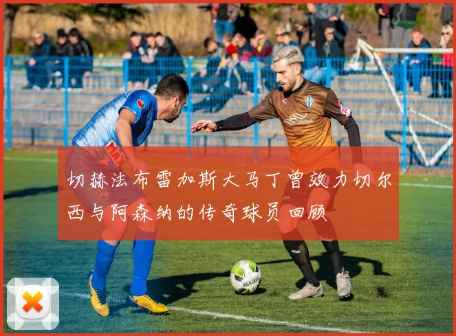 切赫法布雷加斯大马丁曾效力切尔西与阿森纳的传奇球员回顾