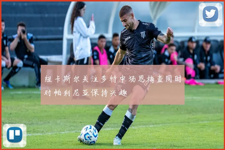 纽卡斯尔关注多特中场恩梅查同时对帕利尼亚保持兴趣